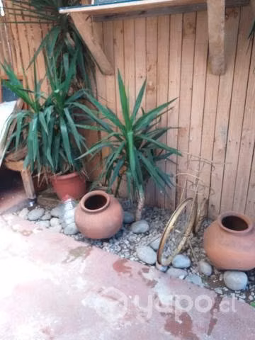 Palos de agua