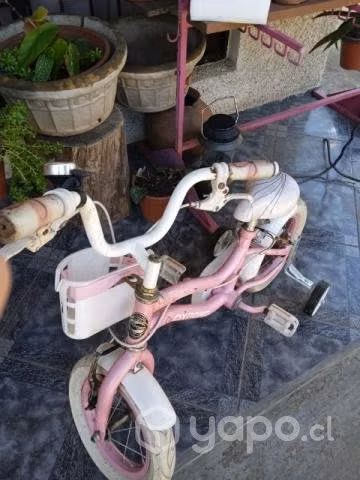 Bici niña aro 12