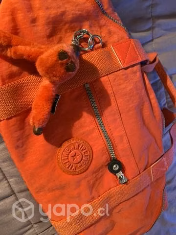 Bolso cartera
