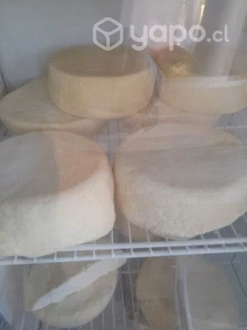 Queso de cabra