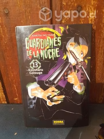 Manga kimetsu no yaiba número 13