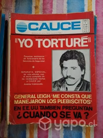 Revista CAUCE años 80 (60 ejemplares)