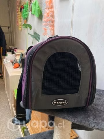 Bolso transporte gato - Imagen 3