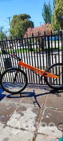 Bicicleta trial