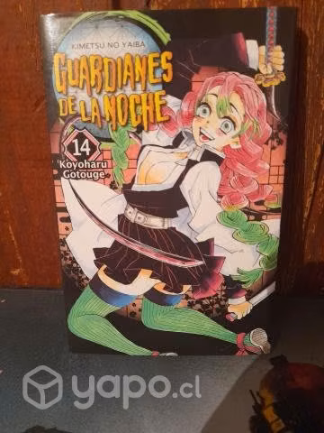 Manga kimetsu no yaiba número 14