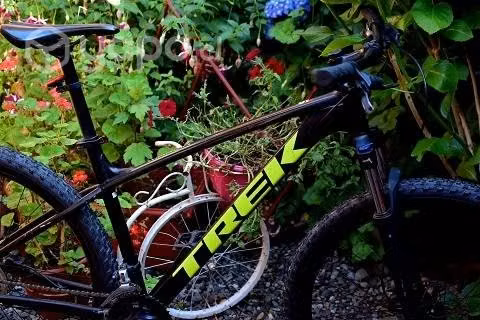 Bicicleta TREK Marlin 6