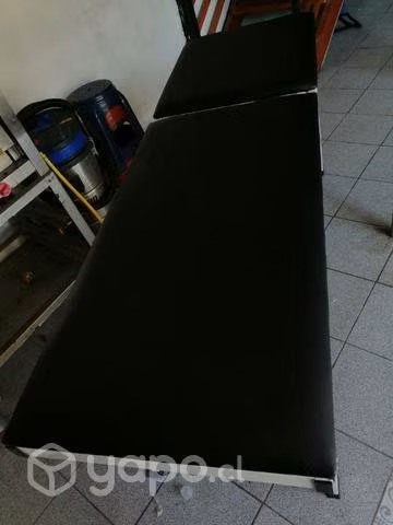 Camilla clinica - Imagen 3