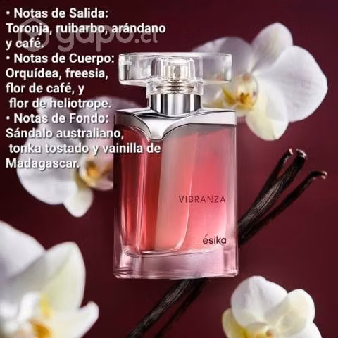 Set vibranza