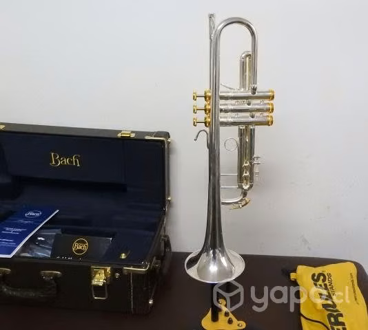 Trompeta Profesional Bach (Bb) Stradivarius 37 ML