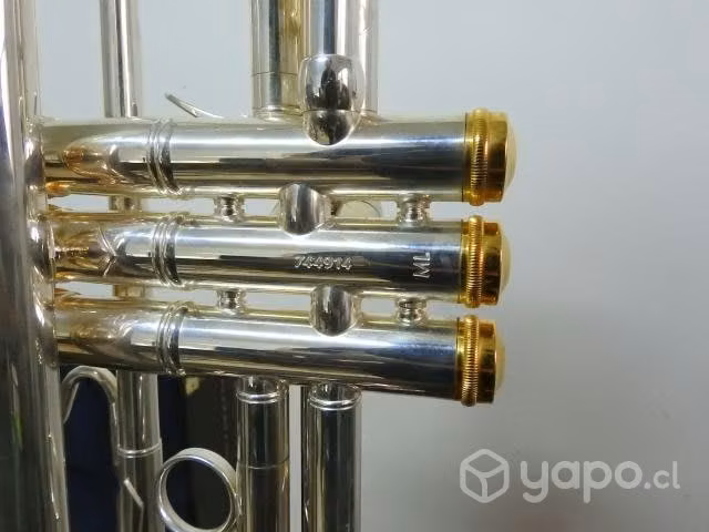 Trompeta Profesional Bach (Bb) Stradivarius 37 ML
