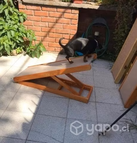 Rampa Plegable para perros pequeños