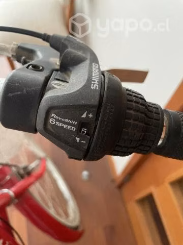 Bicicleta con mantención recién hecha - Imagen 4