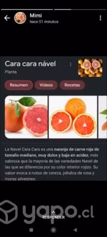 Naranjas - Imagen 2