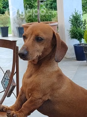 Busco novia, chico serio