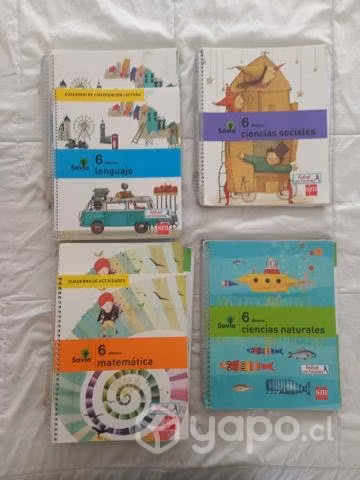 Textos Escolares 6 básico Savia