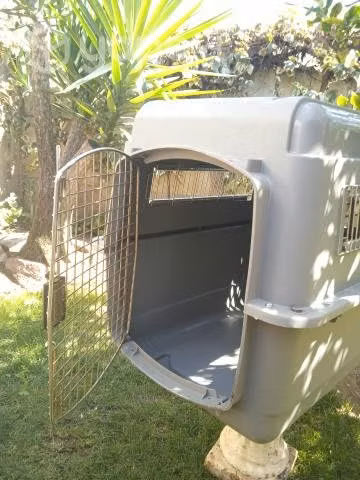 Transportador mascotas (transportadora de avion)