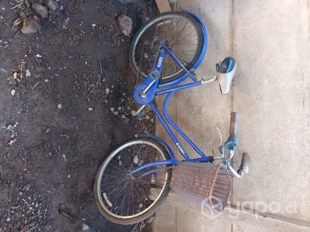 Bicicleta Gama Color morado