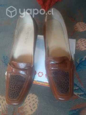 Zapato Caprice