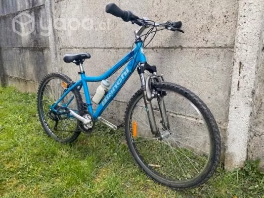 Bicicleta