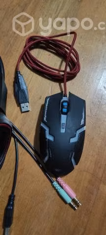 Audifonos y mouse Gamer
