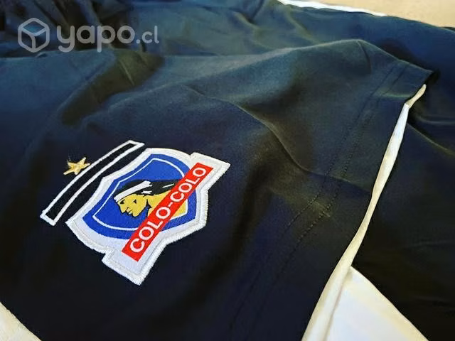 Short colo colo