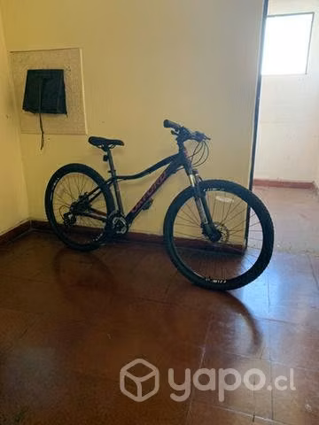 Bicicleta oxford - Imagen 3