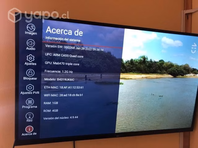 Smart Tv BGH 55"