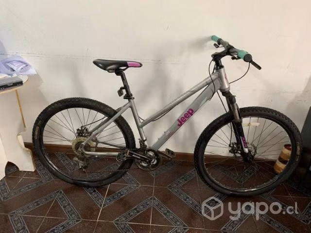 Bicicleta