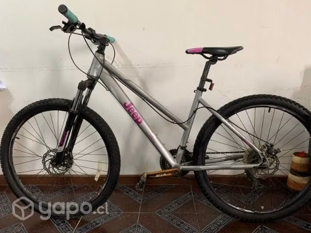 Bicicleta
