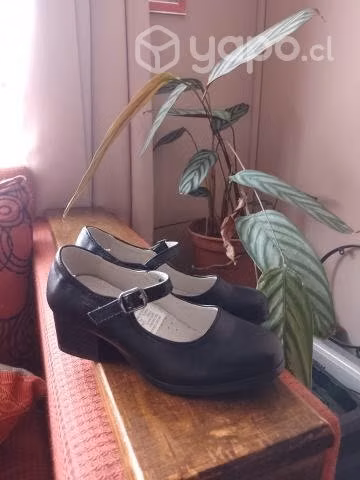 Zapatos de cueca