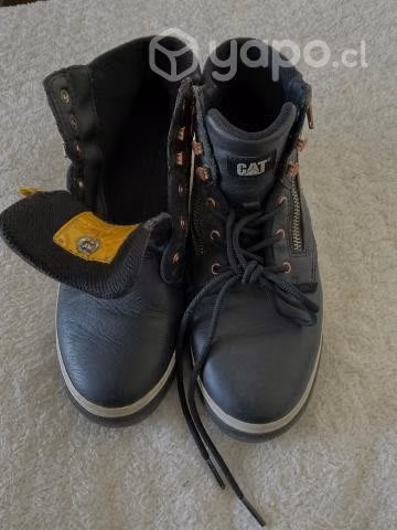 Zapatos cat