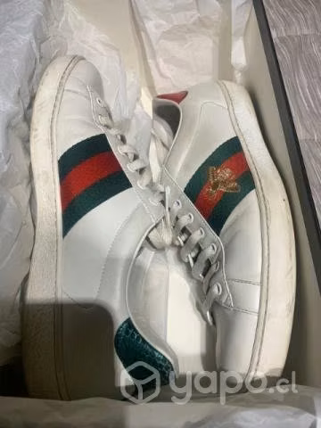 Gucci-ace-gucci