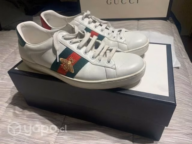 Gucci-ace-gucci - Imagen 5