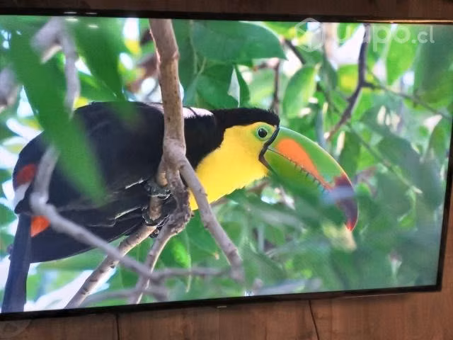 Smart tv 58 samsung