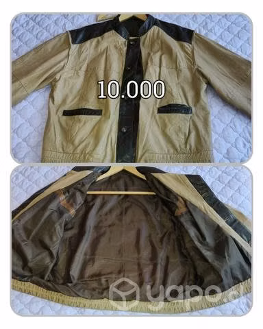 Chaquetas de cuero