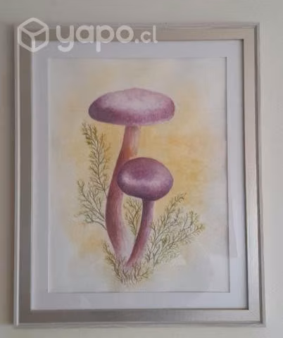 Pinturas Regional en Acuarela y Acrilico
