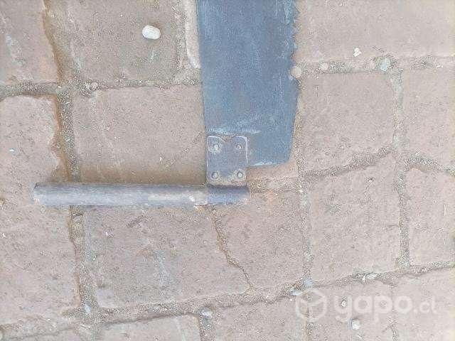 Corvina antigua - Imagen 2