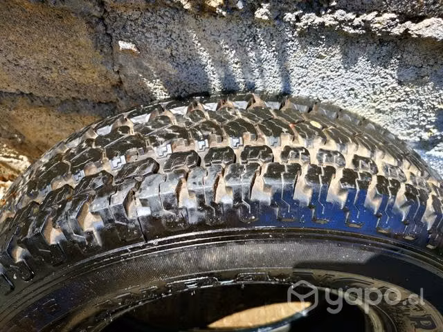 Neumáticos Goodyear en buen estado