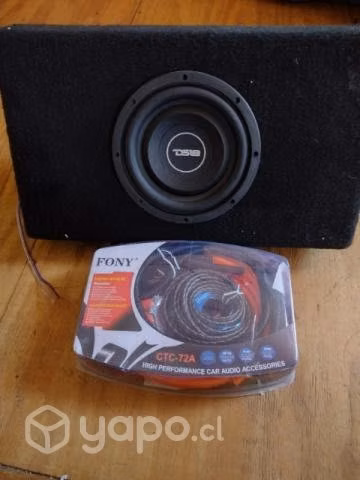 Bajo con amplificador
