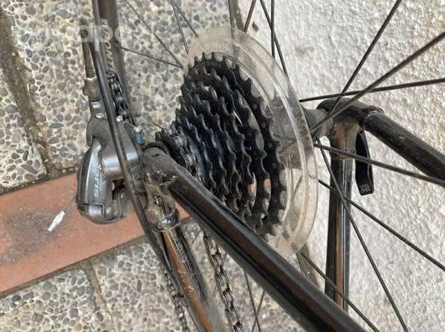 Bicicleta Trek Domane AL2 58