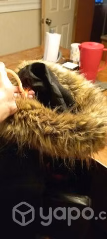 Chaquetón L - Imagen 2