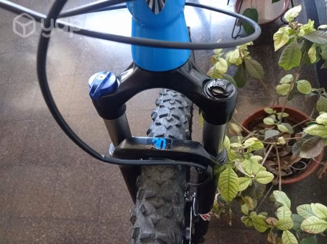 Trek xcaliber 8 2019