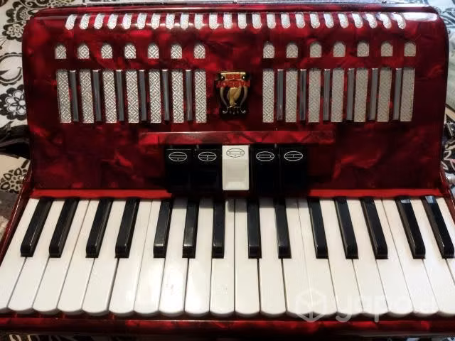 Acordeon Parrot - Imagen 4