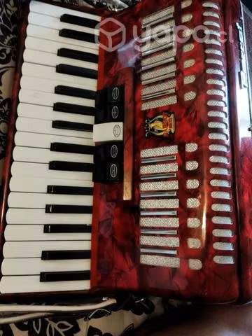 Acordeon Parrot - Imagen 5