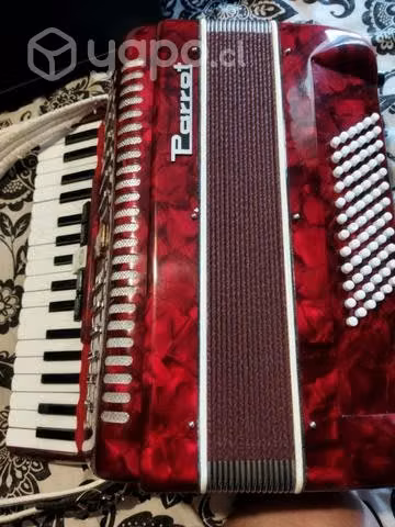 Acordeon Parrot - Imagen 3