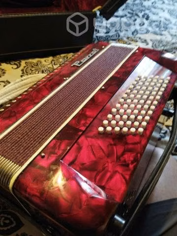 Acordeon Parrot - Imagen 6