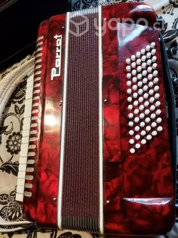 Acordeon Parrot - Imagen 2