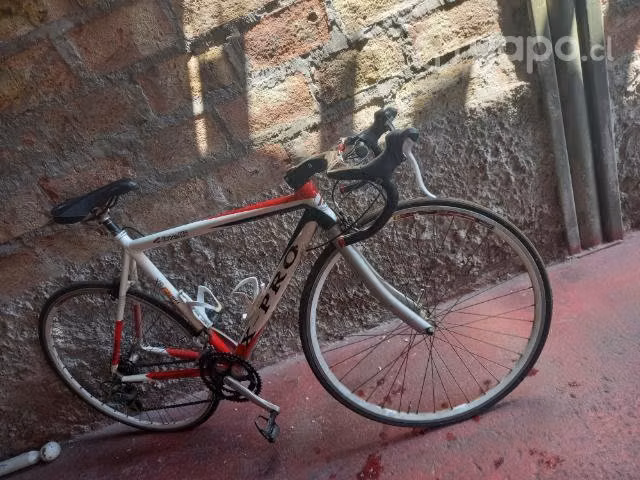 Bicicleta pistera