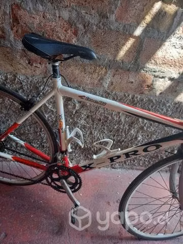 Bicicleta pistera