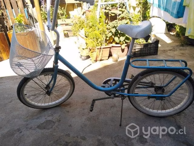 Bicicleta con canasto